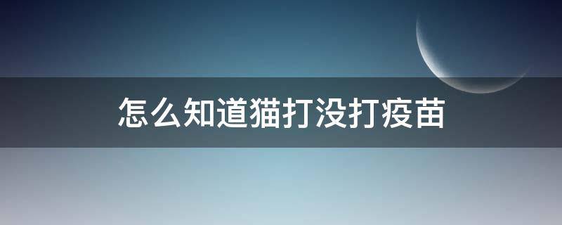 如何知道猫咪打没打疫苗 怎么知道猫打没打疫苗