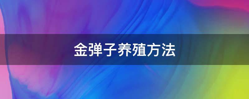 金弹子养殖方法及注意事项 金弹子养殖方法