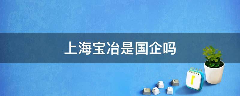 上海宝冶是国企吗 上海宝冶属于央企吗