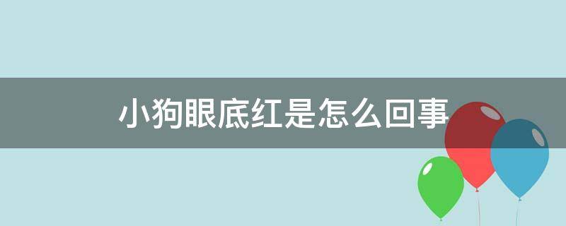 小狗眼底红是怎么回事（小狗眼底发红是怎么回事）