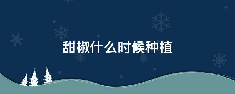 甜椒什么时候种植 甜椒适合几月份种植