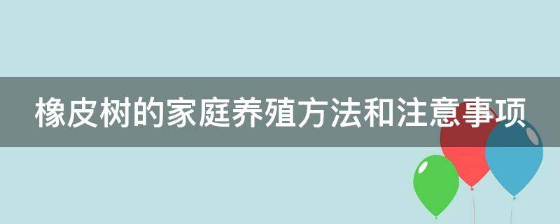 橡皮树的家庭养殖方法和注意事项有哪些 橡皮树的家庭养殖方法和注意事项