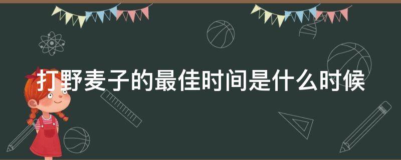 打野麦子的最佳时间是什么时候 打野麦子的最佳时间是什么时候出的