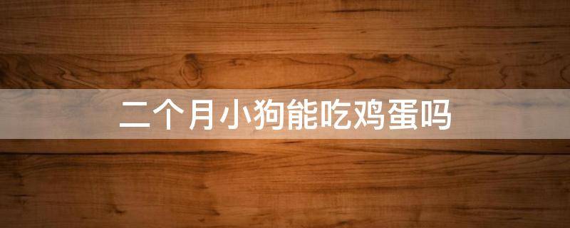 二个月小狗可以吃鸡蛋吗 二个月小狗能吃鸡蛋吗