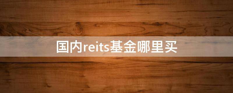 国内reits基金哪里买 reits基金买哪个