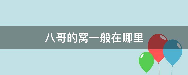 八哥的窝一般在哪里 八哥的窝是什么样的