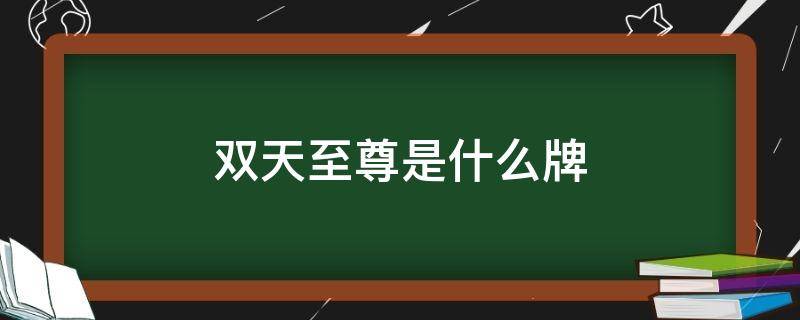 双天至尊是什么牌图片 双天至尊是什么牌