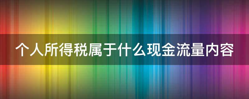 个人所得税属于什么现金流量项目 个人所得税属于什么现金流量内容