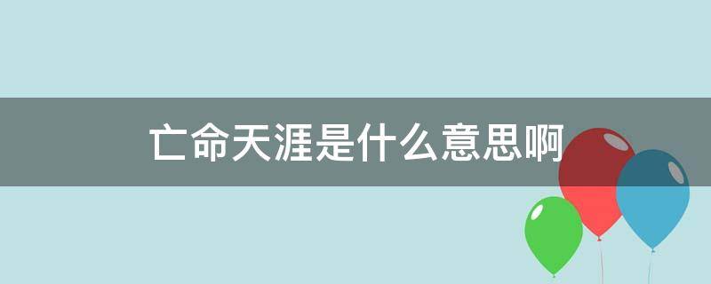 亡命天涯下一句是什么 亡命天涯是什么意思啊