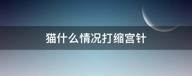 母猫打宫缩针是什么反应 猫什么情况打缩宫针