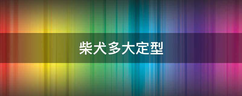 柴犬多大定型 柴犬多大长成型