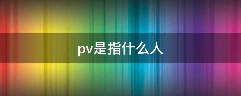 pv是指什么人 pv是干嘛的