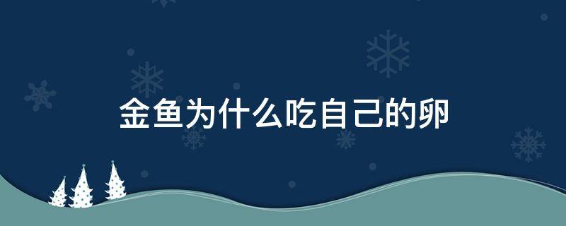 金鱼为什么吃自己的卵 金鱼为啥吃自己的卵