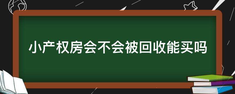 小产权房会不会被回收能买吗（小产权房能卖掉吗）