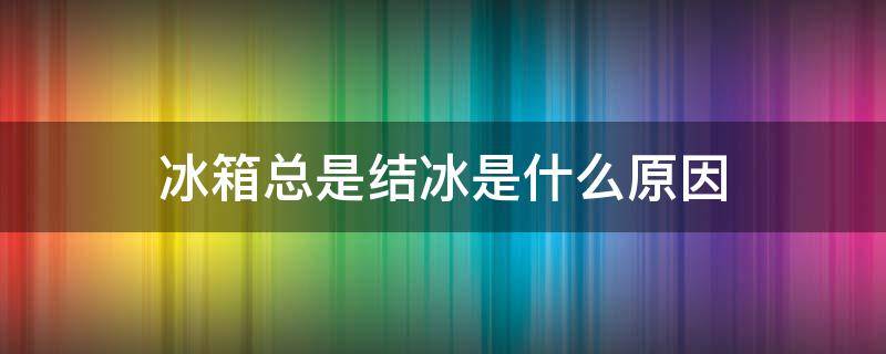 冰箱总是结冰是什么原因 冰箱老是结冰