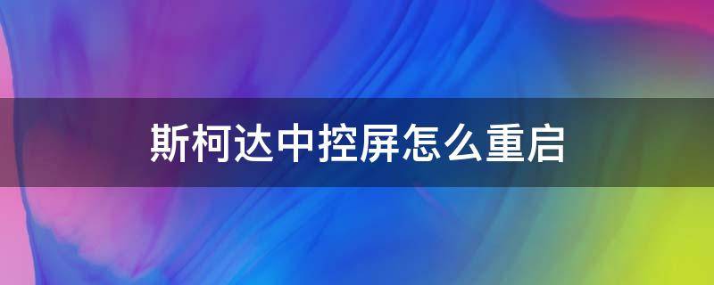 斯柯达中控屏怎么重启 斯柯达中控屏幕开关