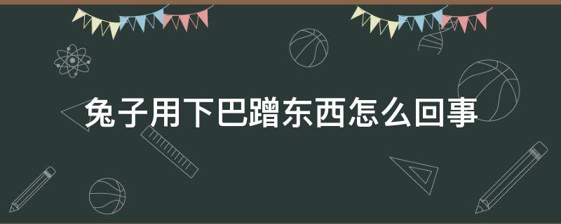 兔子老用下巴蹭 兔子用下巴蹭东西怎么回事