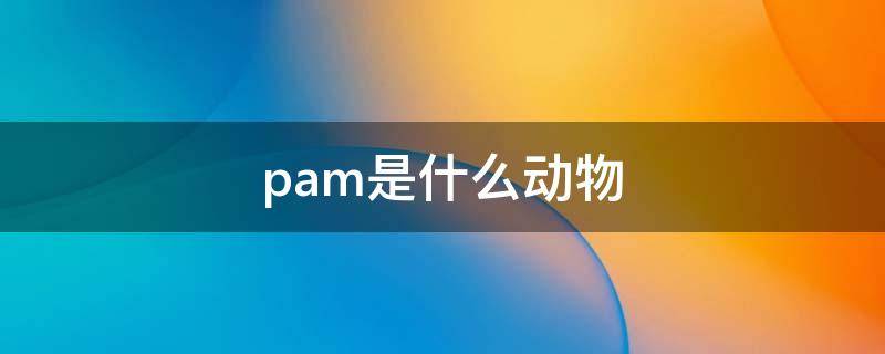 卡帕是什么动物 pam是什么动物