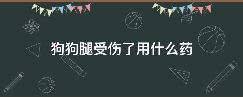 狗狗腿受伤了用什么药 狗腿受伤了用什么消炎药