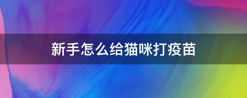 新手怎么给猫咪打疫苗（新手可以给猫咪打疫苗吗）