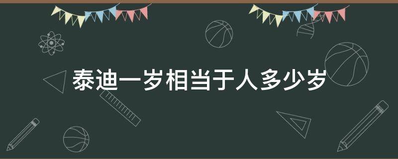 泰迪一岁相当于人多少岁 泰迪狗的年龄怎么算一岁相当于人类几岁