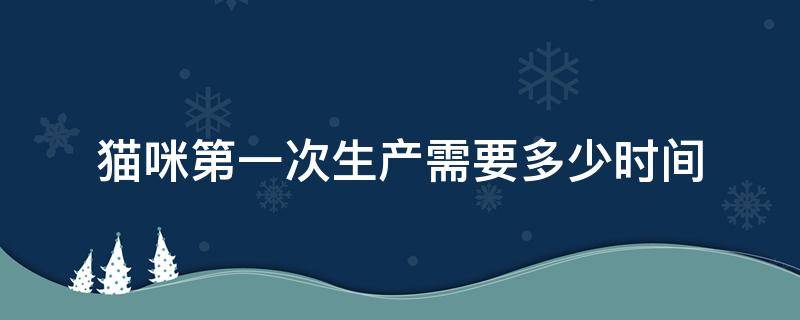 猫咪生产一次要多久 猫咪第一次生产需要多少时间