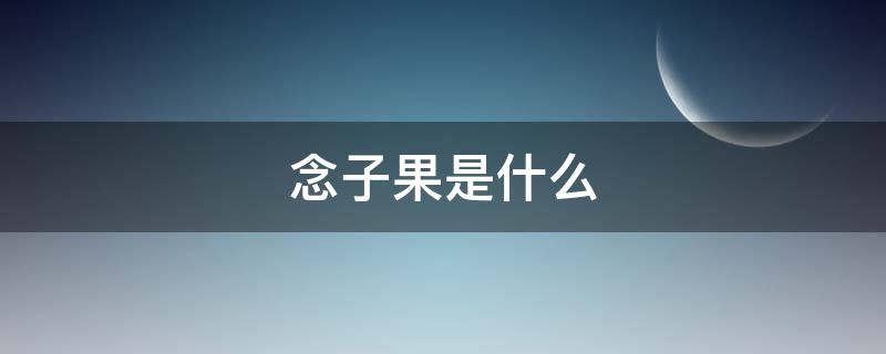 念子果是什么 念果子图片