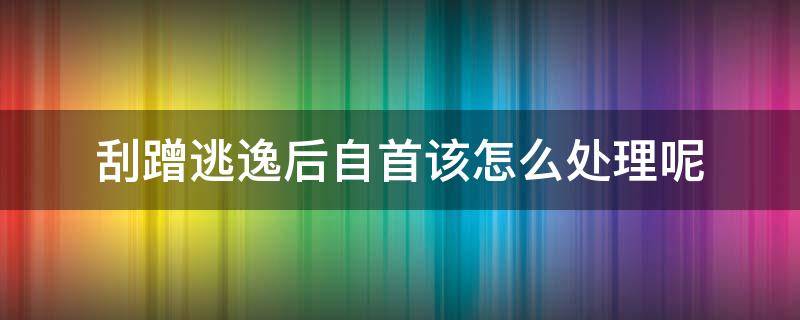 刮蹭逃逸后自首该怎么处理呢 刮蹭逃逸怎么办