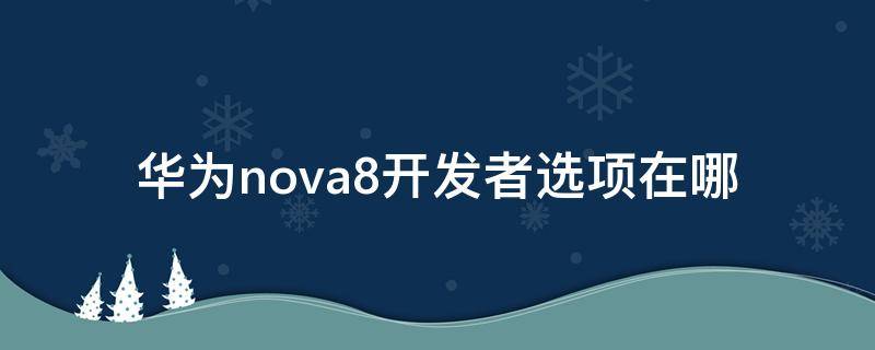 华为nova8开发者选项在哪 nova8开发者选项怎么开启