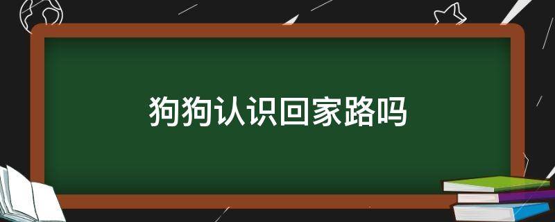 狗狗认识回家的路吗 狗狗认识回家路吗