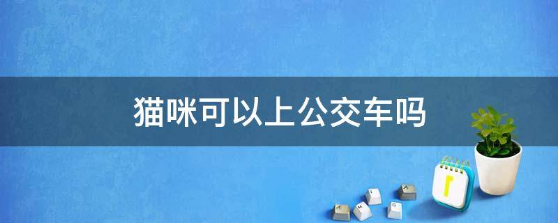 猫咪可以上公交车吗 背着猫咪可以上公交车吗