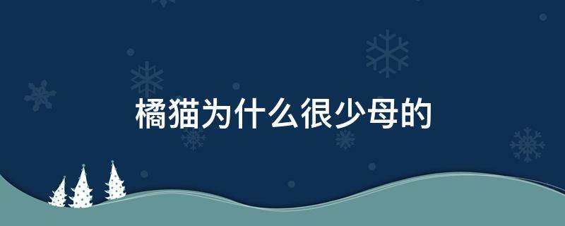 橘猫为什么很少母的 橘猫为什么母猫少