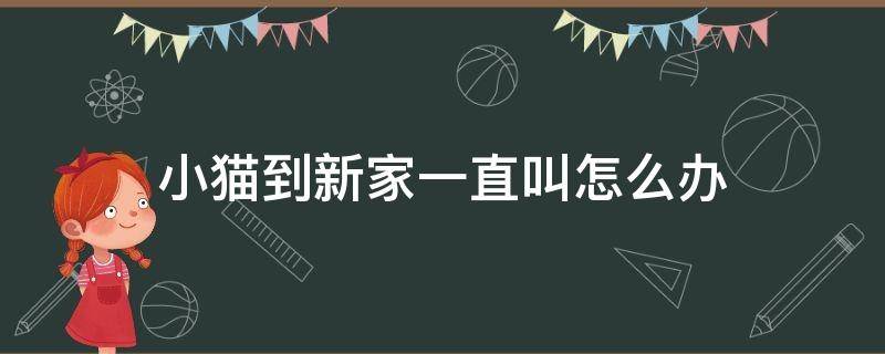 小猫到新家一直叫怎么办 小猫到新家一直叫怎么回事