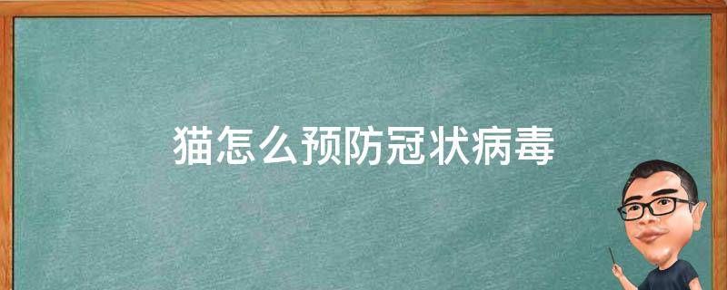 猫怎么预防冠状病毒 如何预防猫冠状病毒