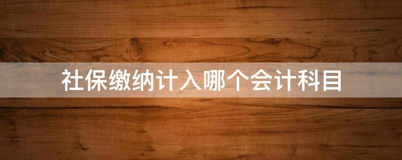 社保缴纳计入哪个会计科目（缴纳社保属于什么会计科目）