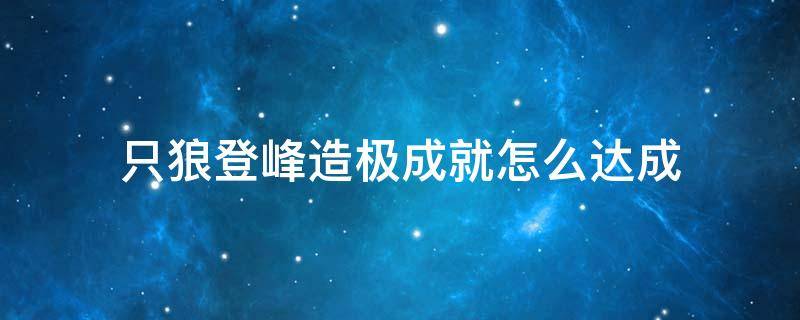 只狼登峰造极成就怎么达成（只狼登封造极成就）