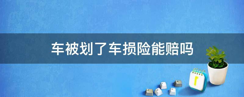 车被划了车损险能赔吗 车被划车损险能报吗