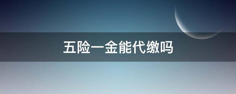 五险一金能代缴吗（什么叫代缴五险一金）