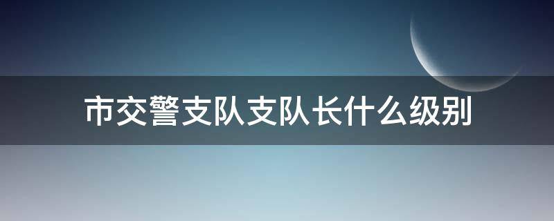 市交警支队支队长什么级别（深圳市交警支队支队长什么级别）