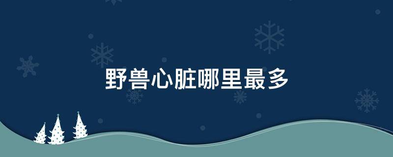 野兽心脏哪里最多 在所有野兽中什么的心脏最小