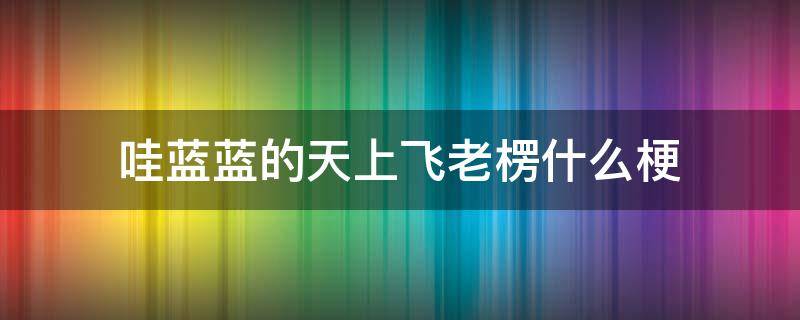 哇蓝蓝的天上飞老楞什么梗（蓝蓝的天空飞老楞什么梗）