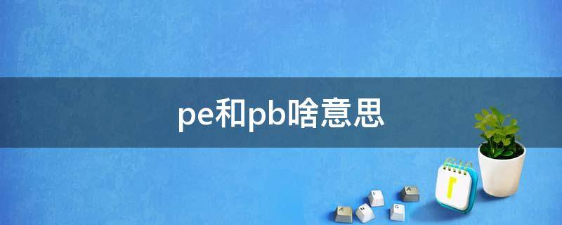 pe和pb啥意思（什么是pe和pb）