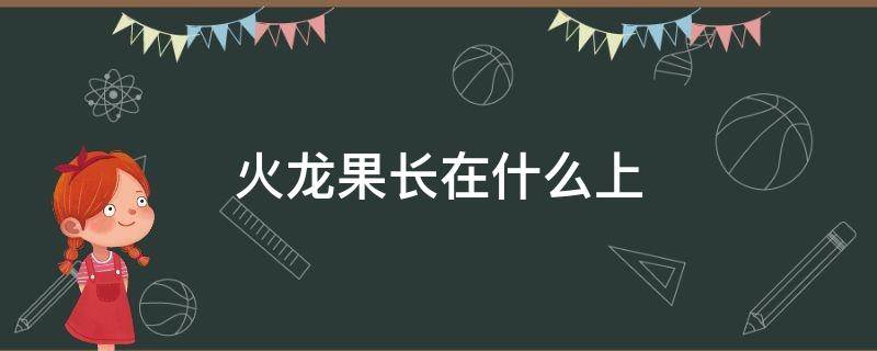 火龙果长在什么上 火龙果是什么上长出来的