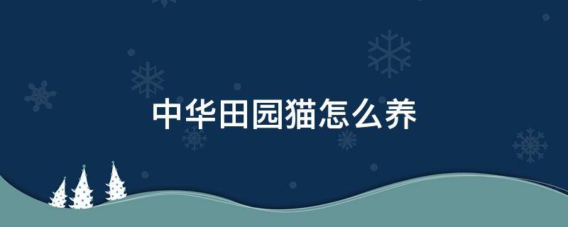 中华田园猫怎么养 两个月的中华田园猫怎么养