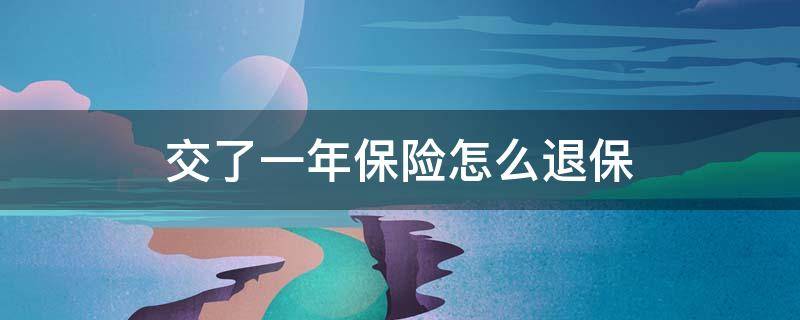 交了一年保险怎么退保 交了一年的保险怎么退