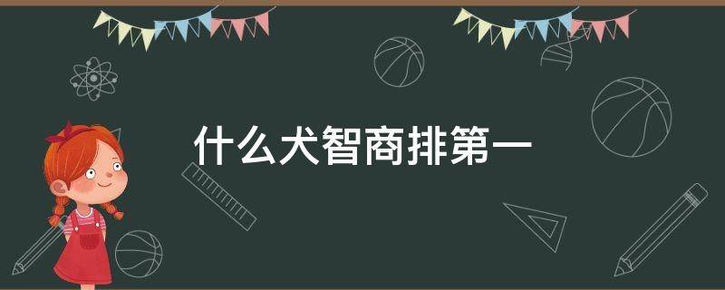 什么犬智商排第一 什么犬智商排第一名