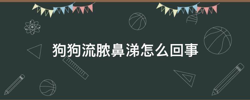 狗狗流脓鼻涕怎么回事 狗狗淌脓鼻涕