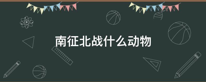 南征北战什么动物 南征北战是什么动物?