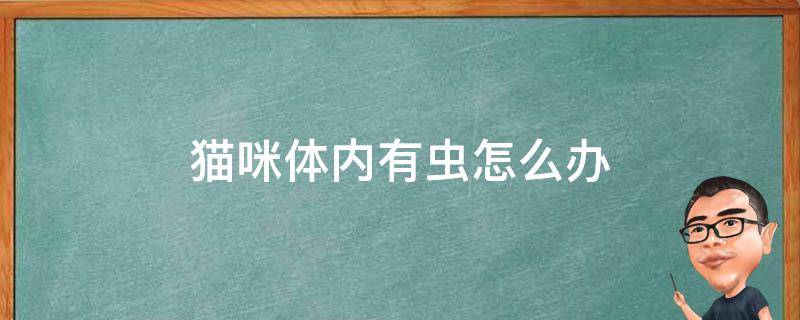 猫咪体内有虫怎么办 猫咪体内有虫卵怎么办