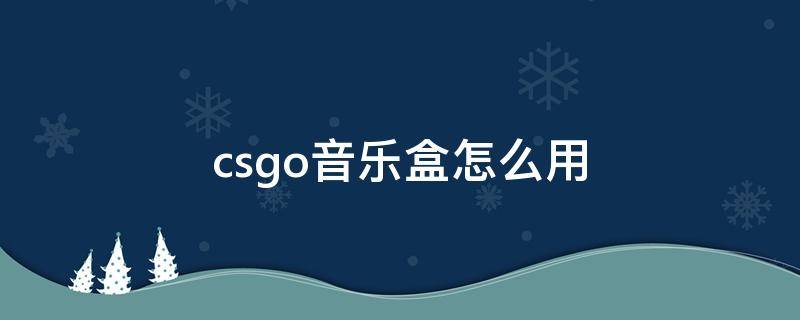 csgo音乐盒怎么用 csgo音乐盒怎么用不了